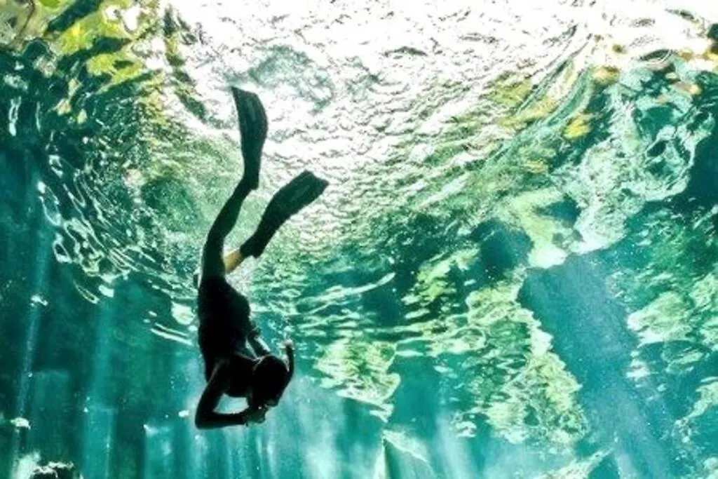 شقة Casa Clarita Top Location 4 Your Cancun Experience المكسيك
